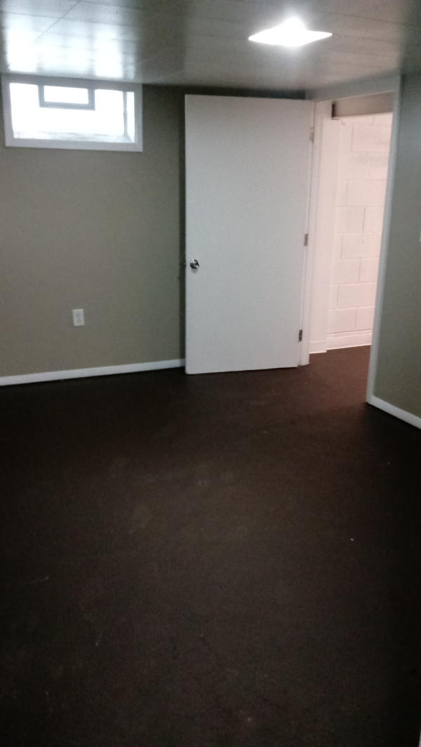 Basement Bonus Room